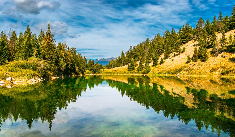 Serene lake reflection surrounded by vibrant evergreen forest in Jasper National Park, Alberta, Canada.